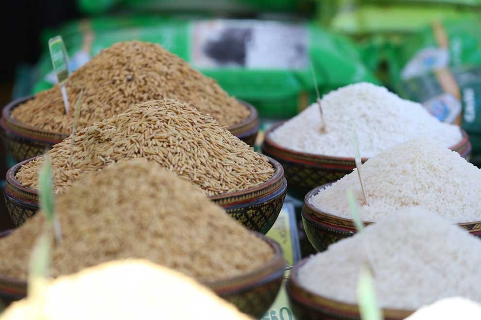 SunRice to buy more Cambodian fragrant rice, expand Oz market